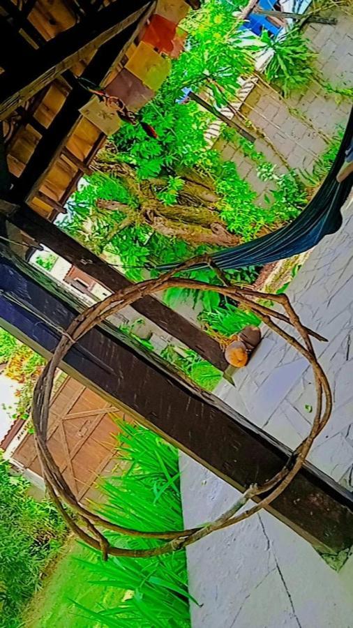 Goura House Homestay