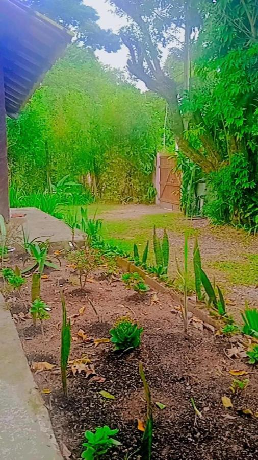 Homestay Goura House *