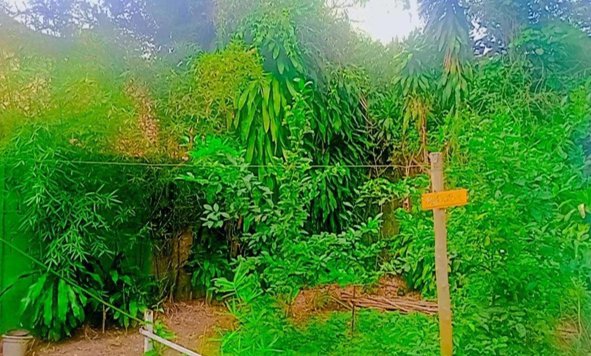 Homestay Goura House